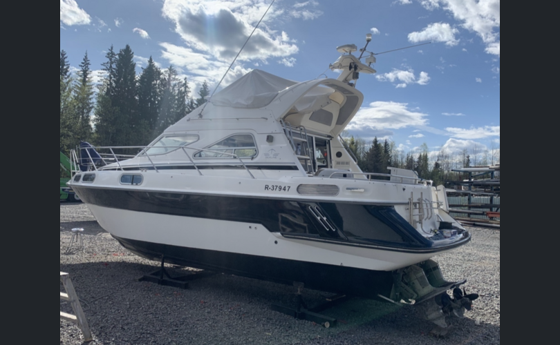 Sealine 310 Statesman-kuva-5